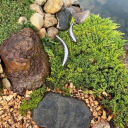 Stainless Steel Fish Sculpture For Garden Landscape Welded Metal Lawn Art Outdoor Decor - thumbnail 3