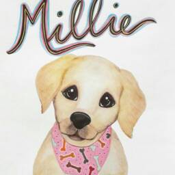 Custom Name Print Girl Puppy- Labrador Puppy - Yellow Lab Baby Nursery Decor- Girls Room Art - thumbnail 3