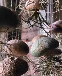 Handmade Clay Sea Urchin Air Plant Holder Hanging Jellyfish Design - thumbnail 1