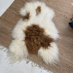 Rare Breed Icelandic Genuine Sheepskin Rug With Natural Markings, Rug, Sheepskin - thumbnail 2