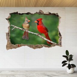 Birds Cardinals Parrots Branch 3D Smashed View Wall Sticker Poster Decal A864