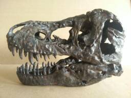 New, 17cm???dinosaur Model/T-Rex Skull Small Model Xb-18101Back - thumbnail 1