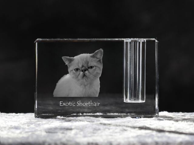 Exotic Shorthair, Crystal Pen Holder With Cat, Souvenir, Decoration, Limited Edition, Collection - image 1