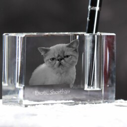 Exotic Shorthair, Crystal Pen Holder With Cat, Souvenir, Decoration, Limited Edition, Collection - thumbnail 3
