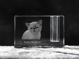 Exotic Shorthair, Crystal Pen Holder With Cat, Souvenir, Decoration, Limited Edition, Collection - thumbnail 1