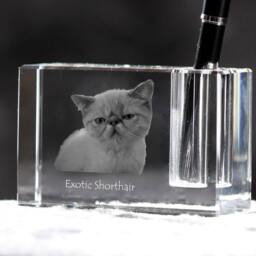 Exotic Shorthair, Crystal Pen Holder With Cat, Souvenir, Decoration, Limited Edition, Collection - thumbnail 2