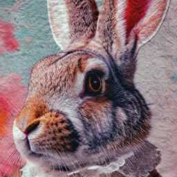 Fancy Vintage Rabbit - Fleece Blanket 150cm X - thumbnail 3
