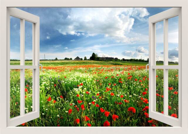 Flowers Wall Decal, Red Poppy Field Sticker, 3D Window View Nature Mural, Effect Home Decor Living Room
