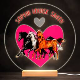 Horse Lover Girl Colourful Round Personalised Gift Led Lamp Night Light - Bedroom