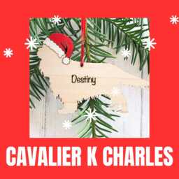 Personalised Cavalier King Charles Spaniel Christmas Ornament Hand-Painted Santa Hat - thumbnail 4