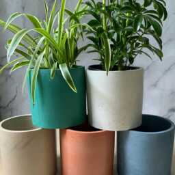 Concrete Planter Indoor/Outdoor Succulent & Cactus Pot With Drainage - Modern Handmade Decor - thumbnail 2