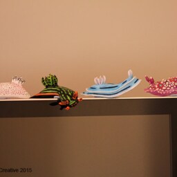 Doris The Nudibranch - Dendrodoris Denisoni - thumbnail 3