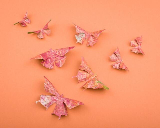 3D Butterfly Wall Art Tropicoco Paper Butterflies For Decor, Nursery, Children's Room - image 1