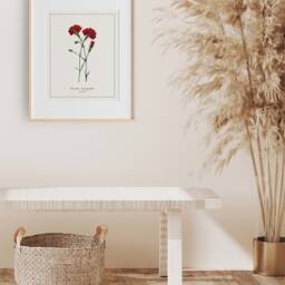 Carnation Botanical Print - Printed & Shipped Illustration Floral Watercolour Home Decor - thumbnail 3