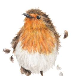 Robin Watercolour Print - British Garden Bird Wildlife Wall Art - thumbnail 3