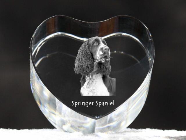 English Springer Spaniel, Crystal Heart With Dog, Souvenir, Decoration, Limited Edition, Collection - image 1