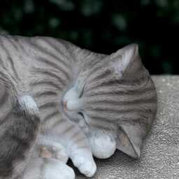 Cute Sleeping Kitty Statue Concrete Kitten Figurine Outdoor Cat Sculpture Stone Pet Ornament Handmade Decoration Kitty Lover Gift - thumbnail 2
