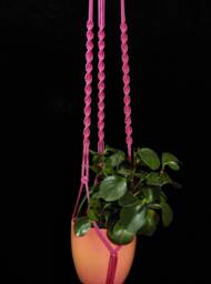 Macrame Plant Hanger 60