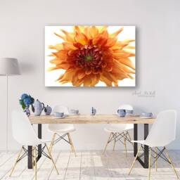 Orange Dahlia Print, Flower Canvas Wall Art, Large Flower Photo, Floral Boho & White - thumbnail 3