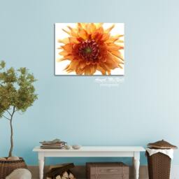 Orange Dahlia Print, Flower Canvas Wall Art, Large Flower Photo, Floral Boho & White - thumbnail 2