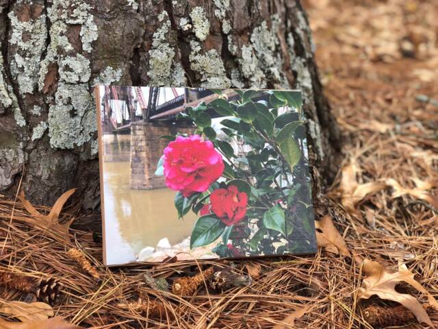 8x10 Stretch Canvas-- Wall Art-- Custom Gift Idea-- Canvas Print - image 1
