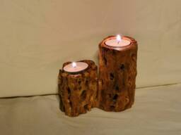 Southwest Cholla Cactus Double Tea Light Holder - thumbnail 1
