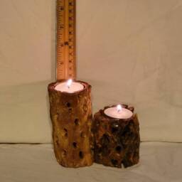 Southwest Cholla Cactus Double Tea Light Holder - thumbnail 3