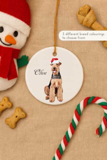 Airedale Terrier Dog Christmas Ornament - Personalised Festive Bauble With Santa Hat & Name - image 1