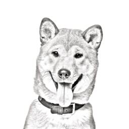 Shiba Inu - Wooden Stand For Candles/Pens With The Image Of A Dog New Collection - thumbnail 2