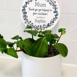 Mothers Day Personalised Plant Spike Gift #2 - Planter Stick Plantpot Thank You School Christmas - thumbnail 2