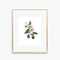 Blackberry Watercolor Art Print, Summer Kitchen Wall Decor - thumbnail 1