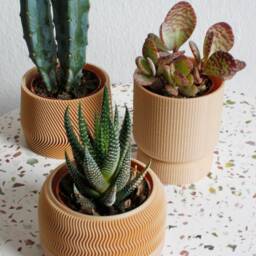 Mini Planter Set 3D Printed Bioplastic Indoor Plant Pots Mayla, Jadzia, Elif - thumbnail 2
