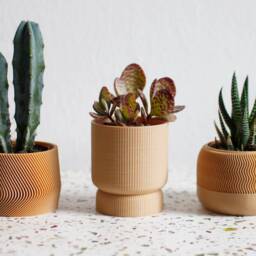 Mini Planter Set 3D Printed Bioplastic Indoor Plant Pots Mayla, Jadzia, Elif - thumbnail 3