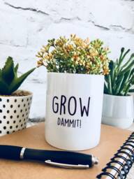 Plant Pot, Planter, Cactus Christmas Gift, Gift For Women, Funny Plant Her, Friend Birthday Crazy - thumbnail 1
