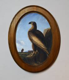 Audubon Washington Sea Eagle Art Print, Oval Oak Wood Frame