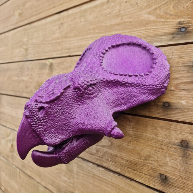 Protoceratops Head - Dinosaur Wall Art 3D Printed - image 1