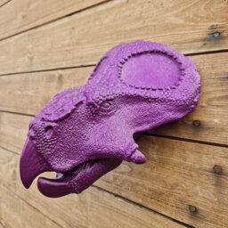 Protoceratops Head - Dinosaur Wall Art 3D Printed - thumbnail 1