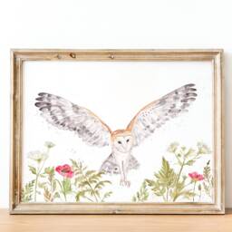 A4 Watercolour Barn Owl Print, Owl Wall Art, Barn Painting, Pictures, British Wildlife Animals, Woodland Gifts - thumbnail 3