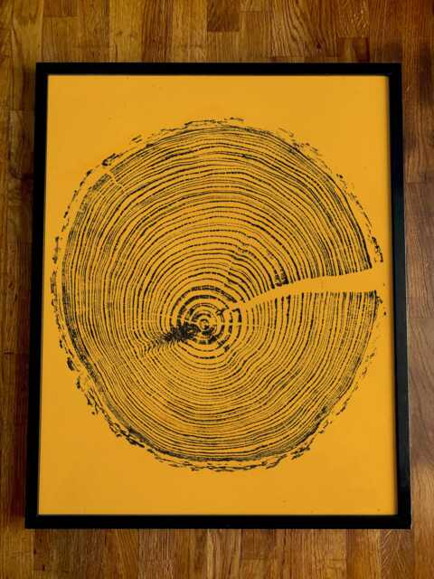 Tree Ring Woodcut Print English Larch On Yellow Paper - image 1
