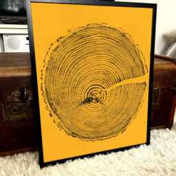 Tree Ring Woodcut Print English Larch On Yellow Paper - thumbnail 2