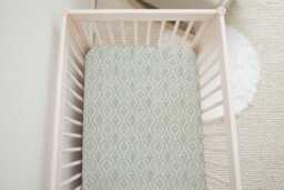 Baby Shower Gift New Mom - Monticello Green & Tan Sheet