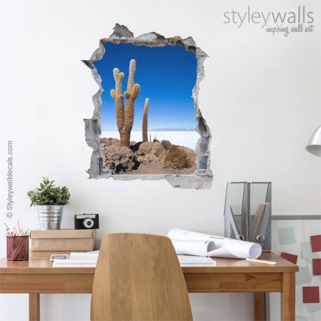 Cactus Wall Decal, Desert Decal Mural, Hole in The 3D Effect Sticker, Broken Mural Home Decor