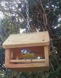 Hanging Bird Feeder Solid Wood - thumbnail 1