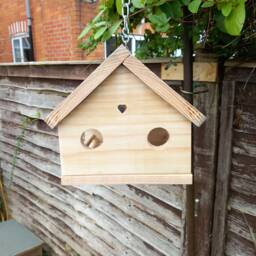 Hanging Bird Feeder Solid Wood - thumbnail 4