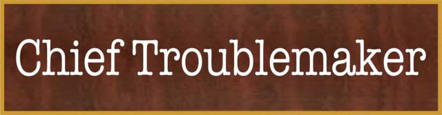 Chief Troublemaker Name Plate, Funny Plate, Name Plate With Holder, Tag, Office Custom Plate - Nm5