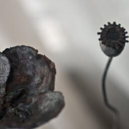 Poppy Bouquet, Metal Flowers, Iron Sculpture, Original Art By The Steel Style Things, 6Th Anniversary - thumbnail 3