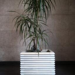 stylish Wooden Indoor Planter, Modern Indoor Wooden Planter, Minimalist 3D Flowerpot For Home & Garden - thumbnail 3