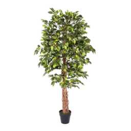 Artificial Ficus Tree With Real Wood Trunk - Green & Variegated 4Ft & 6Ft Uv Resistant Indoor Faux Plant in Pot Realistic Home D??cor - thumbnail 2