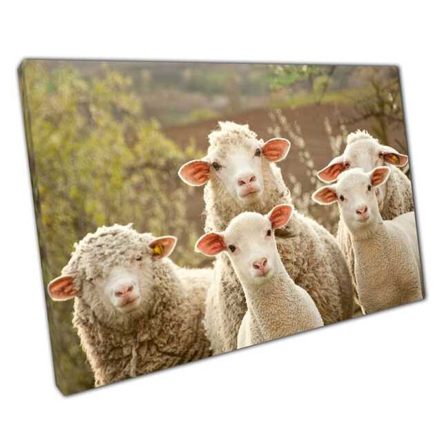Serene Farmland Sheep Flock Nature Photography Canvas Wall Art For Home & Office Decor - image 1