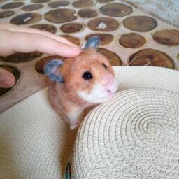 Custom Realistic Gold Hamster Needle Felt Soft Animal Sculpture Pet Lover Gift Wool Figurine Toy Pet - thumbnail 3
